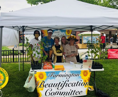 Market Sunflower Explosion
